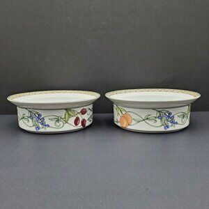 Dansk Umbrian Fruits Soup Cereal Bowls Fruits & Vines Rimmed Bowls